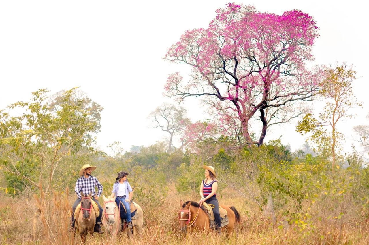 Hotel Pantanal Mato Grosso Pocone Ngoại thất bức ảnh