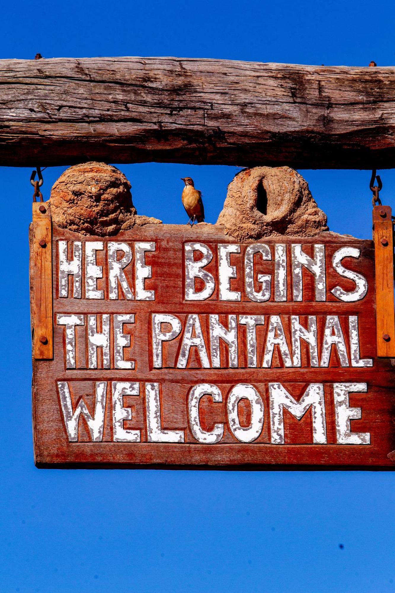 Hotel Pantanal Mato Grosso Pocone Ngoại thất bức ảnh