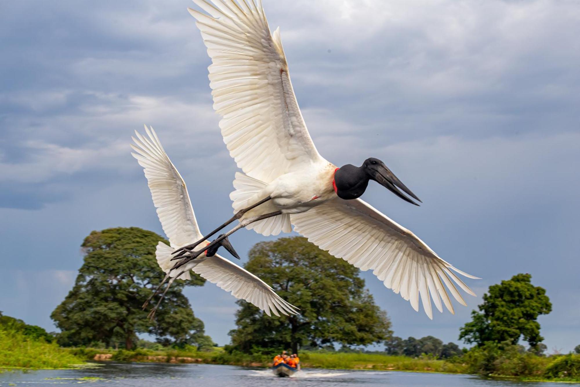 Hotel Pantanal Mato Grosso Pocone Ngoại thất bức ảnh