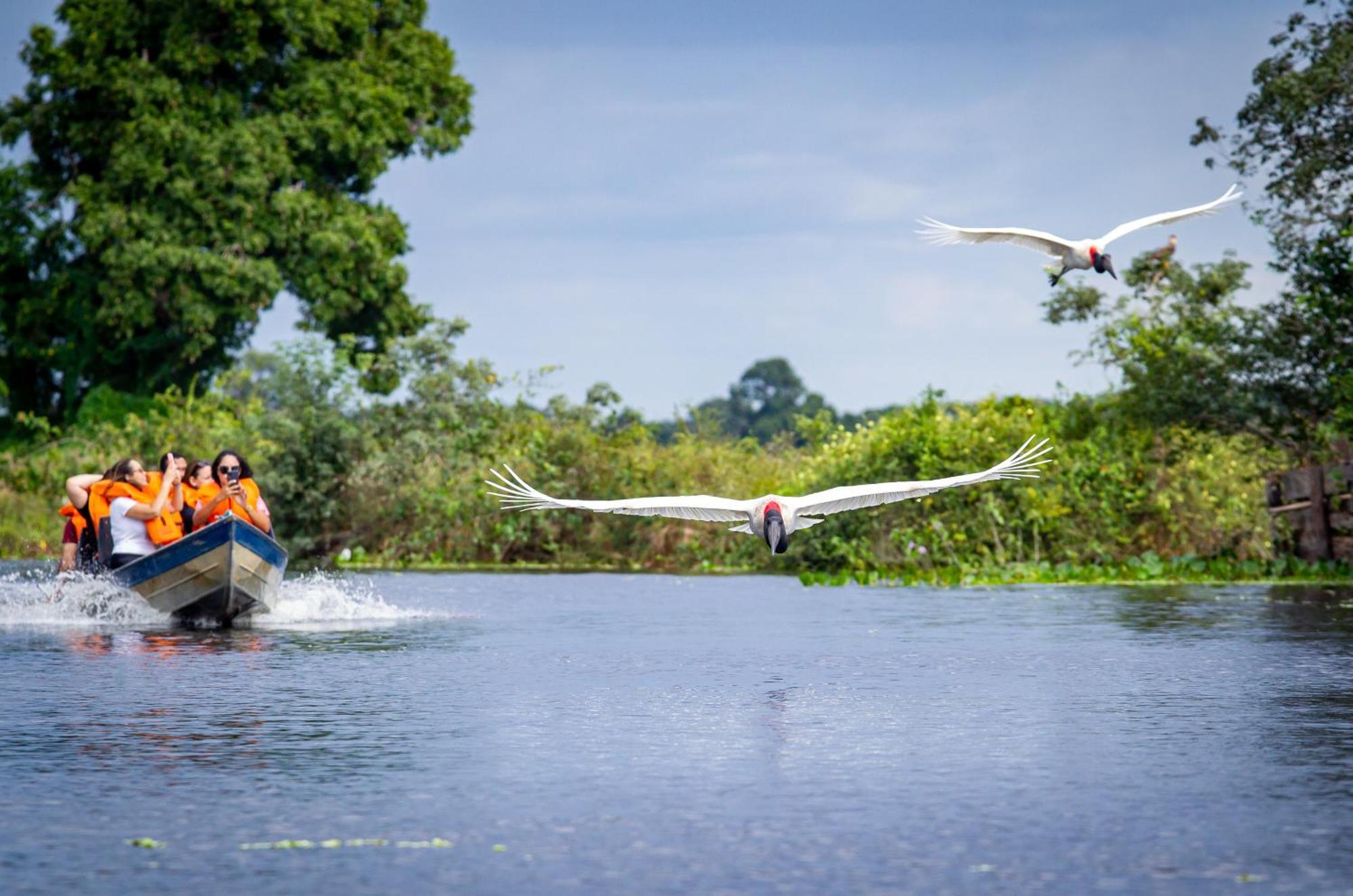 Hotel Pantanal Mato Grosso Pocone Ngoại thất bức ảnh